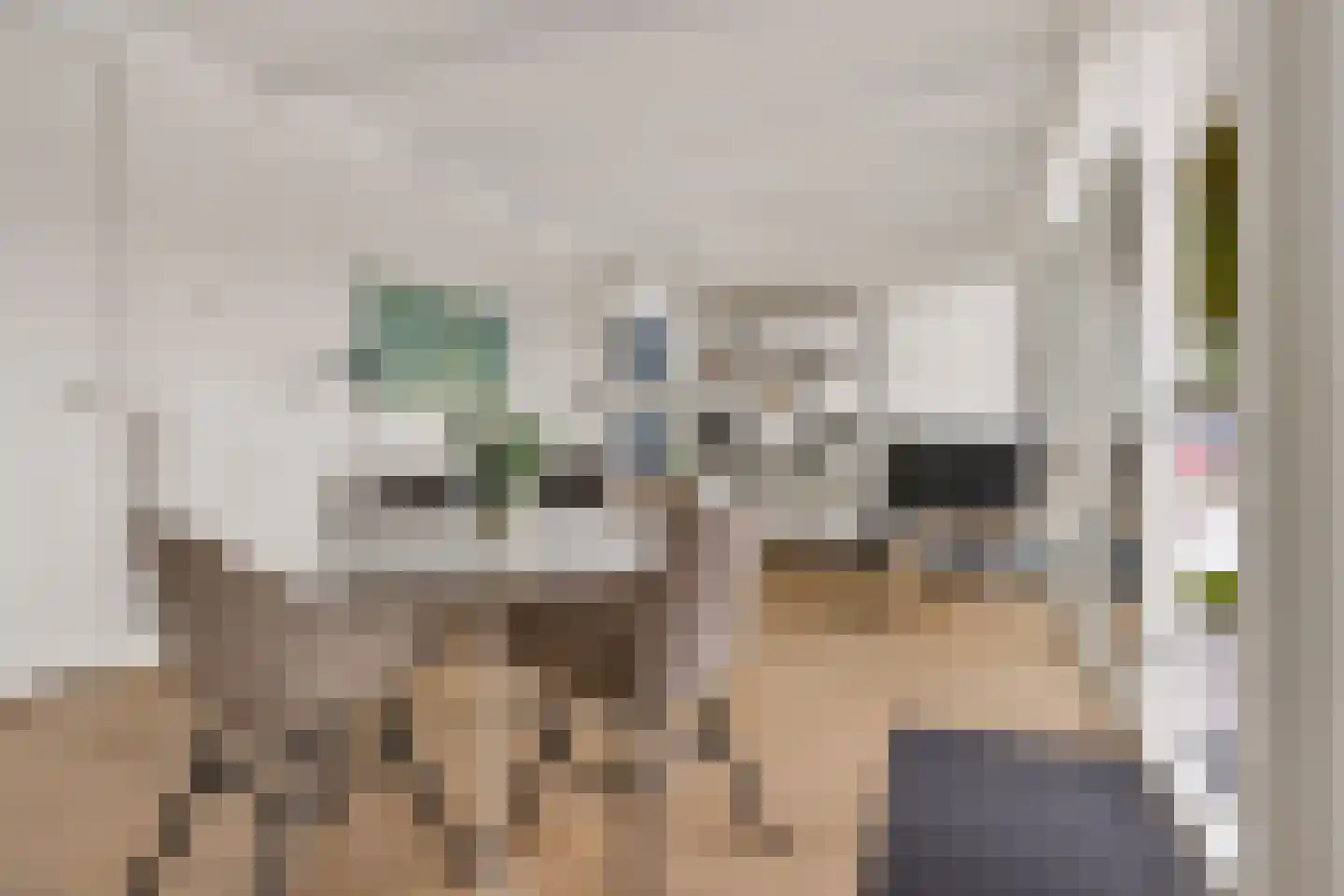 Houtvaartweg 11 Boornzwaag thumbnail 9