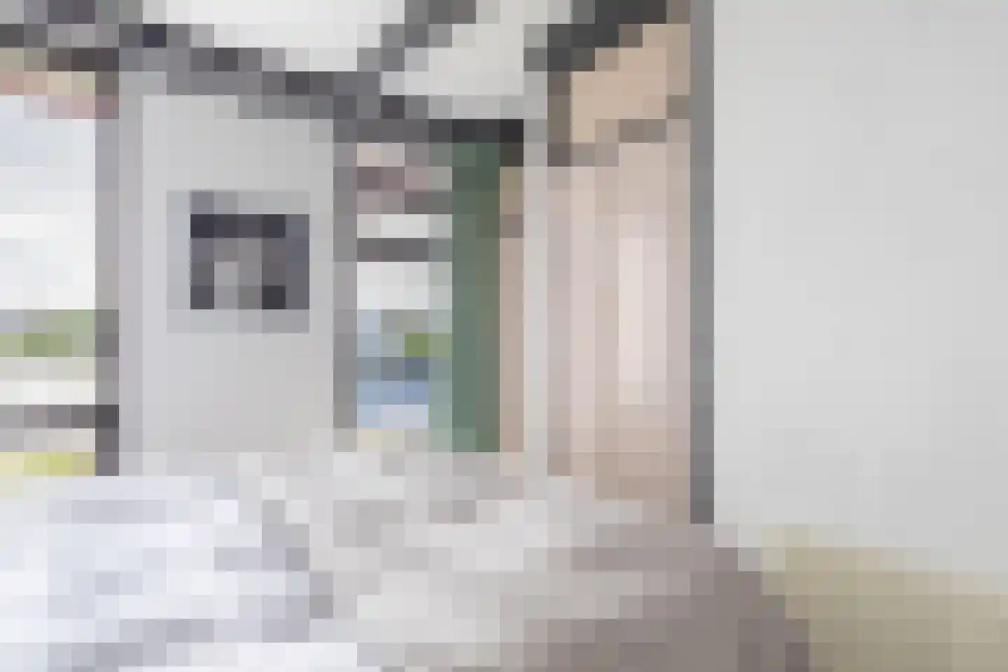Houtvaartweg 15 Boornzwaag thumbnail 14