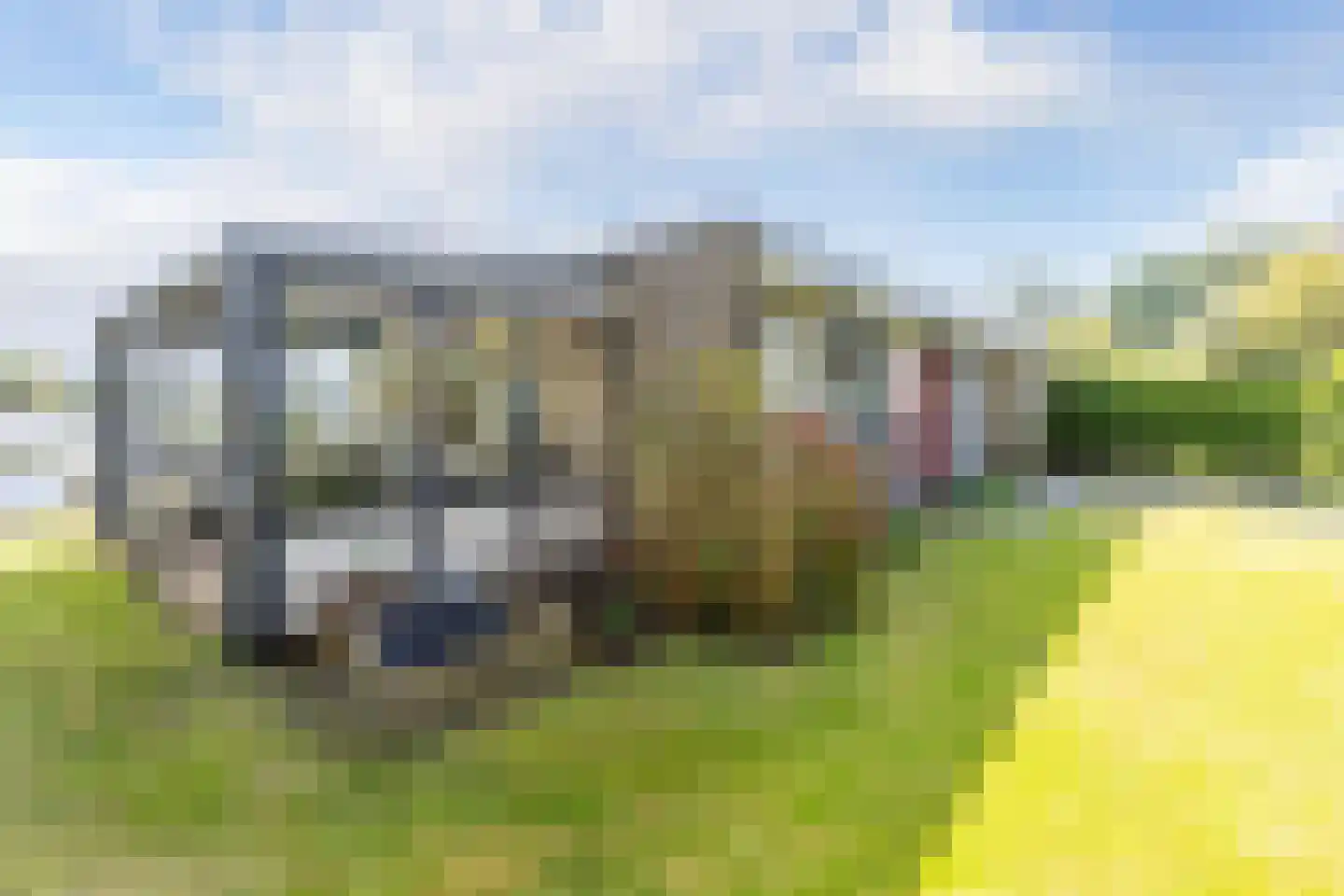 Houtvaartweg 15 Boornzwaag thumbnail 22