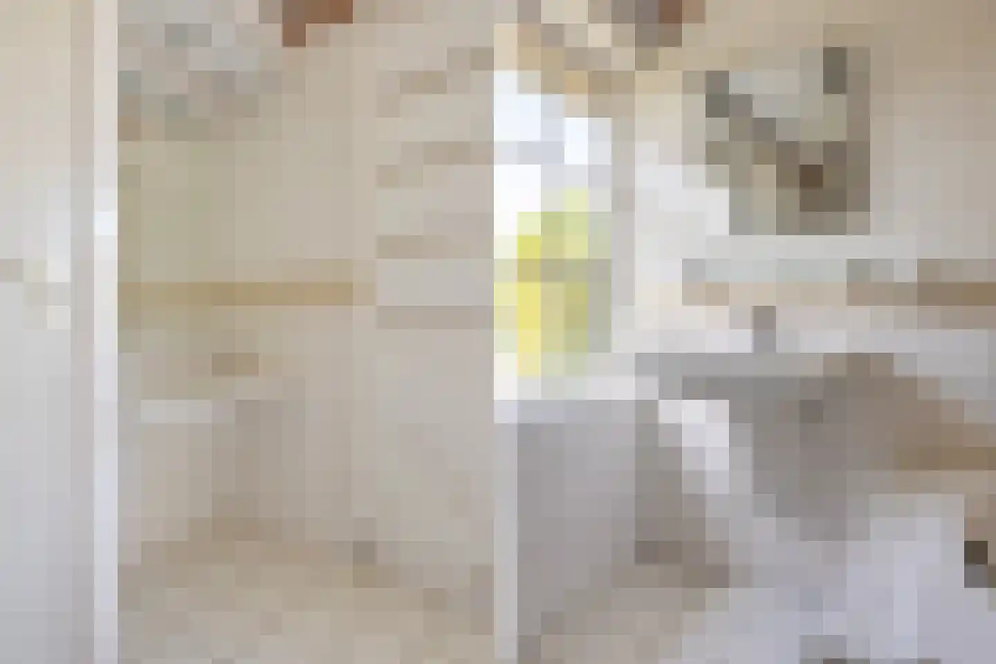 Houtvaartweg 21 Boornzwaag thumbnail 19