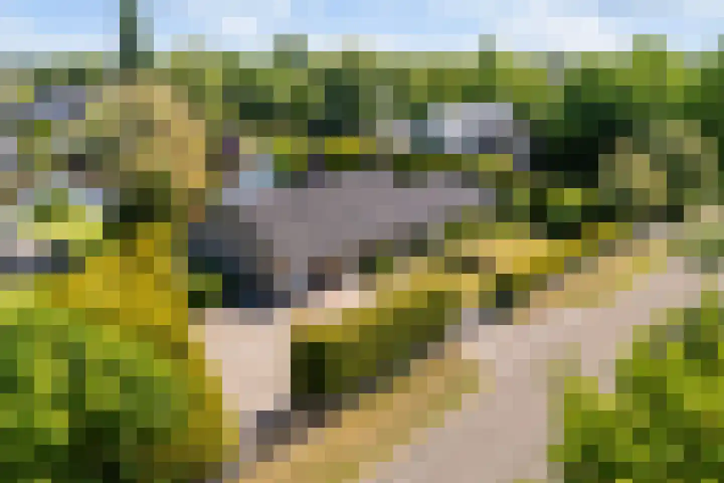 Houtvaartweg 21 Boornzwaag thumbnail 36