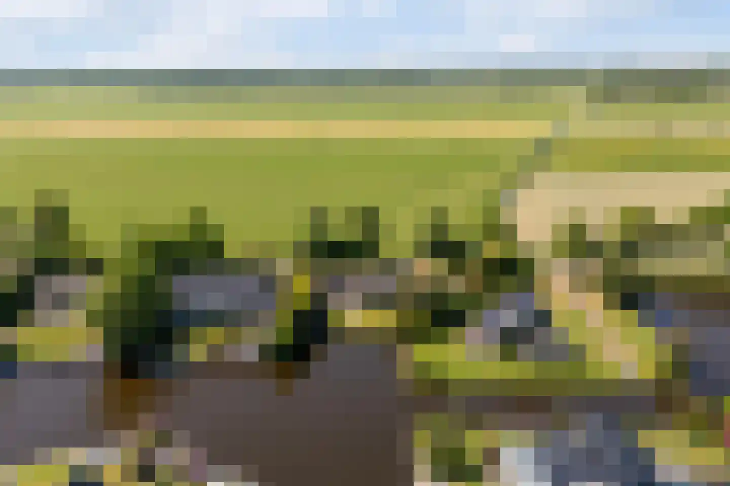Houtvaartweg 21 Boornzwaag thumbnail 4