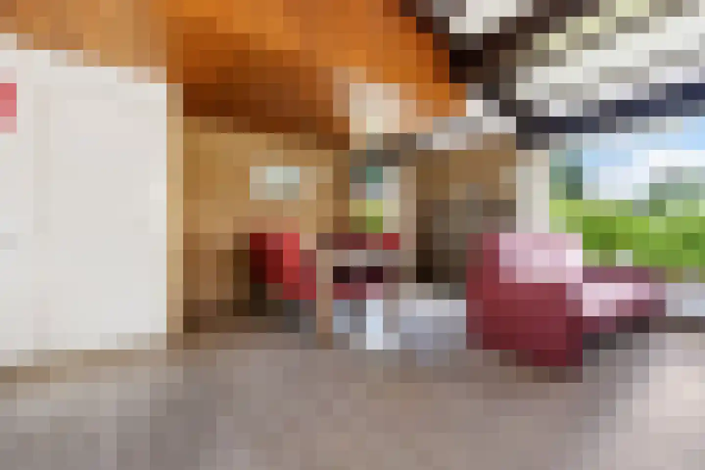 Houtvaartweg 41 Boornzwaag thumbnail 12