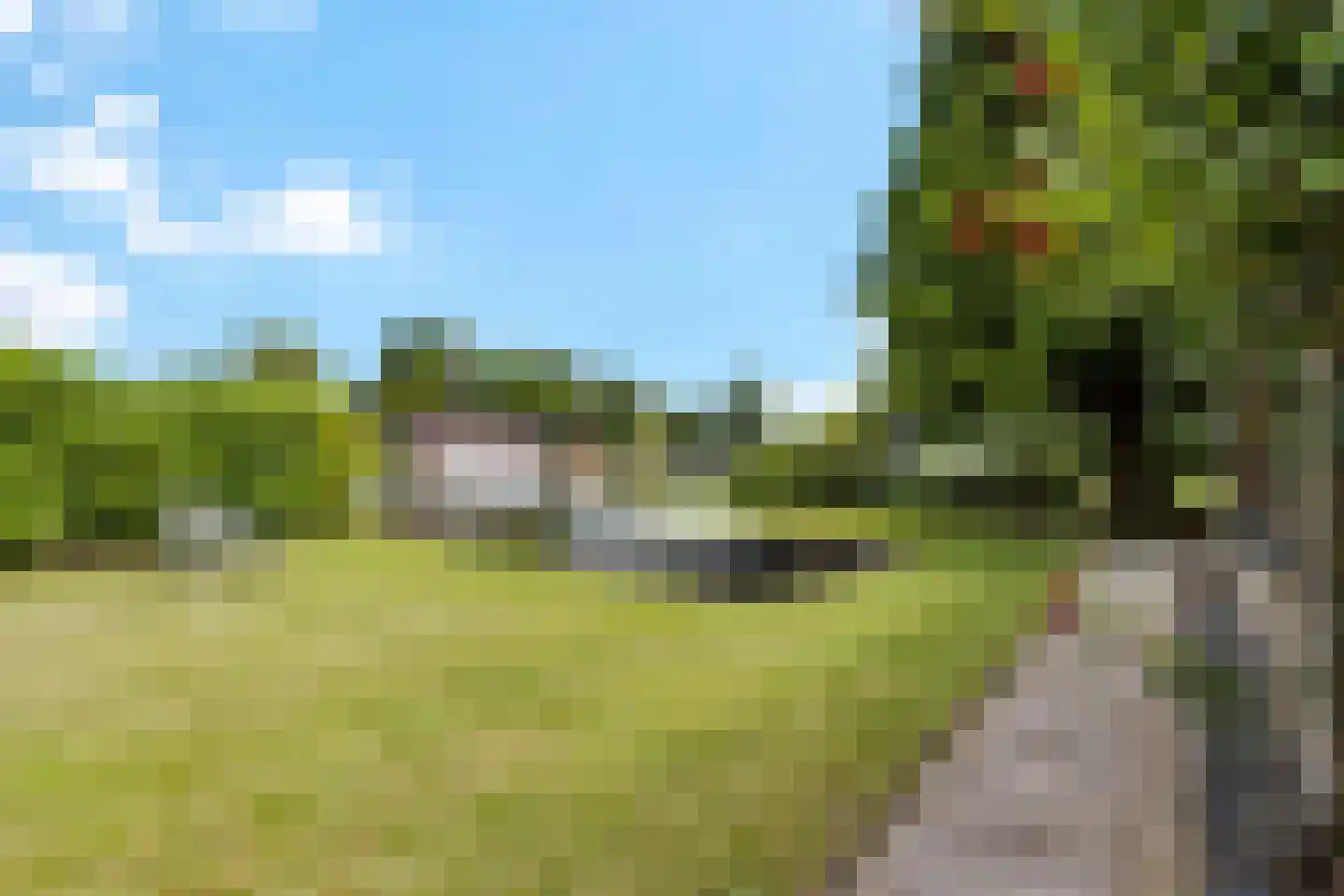 Houtvaartweg 41 Boornzwaag thumbnail 28