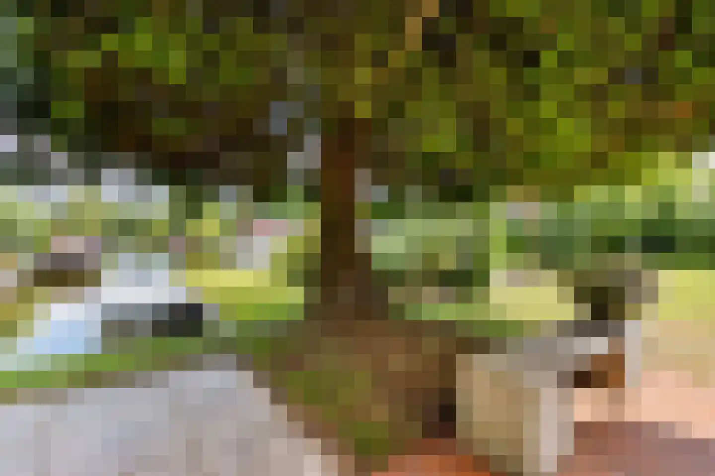Houtvaartweg 41 Boornzwaag thumbnail 31