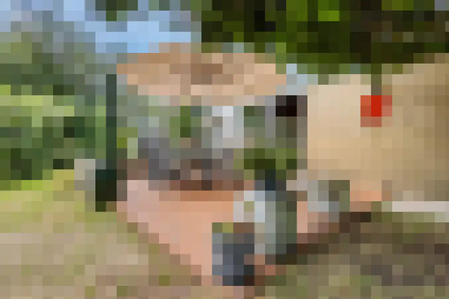 Houtvaartweg 41 Boornzwaag thumbnail 32