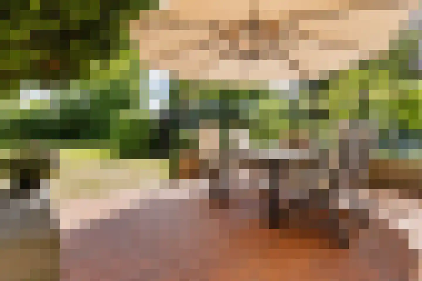 Houtvaartweg 41 Boornzwaag thumbnail 33