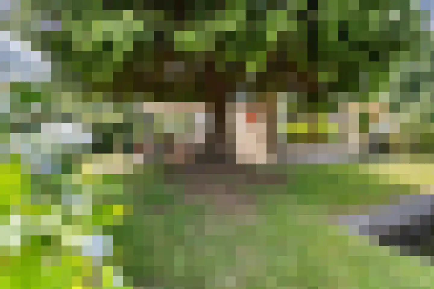 Houtvaartweg 41 Boornzwaag thumbnail 35