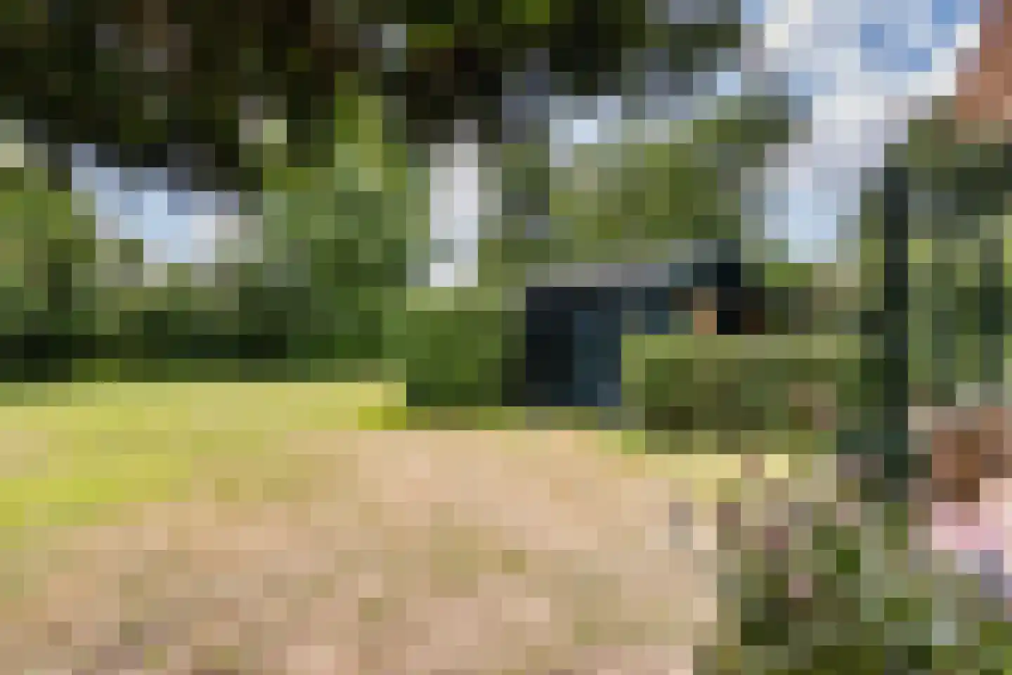 Houtvaartweg 41 Boornzwaag thumbnail 40