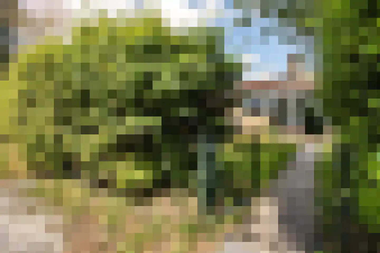 Houtvaartweg 41 Boornzwaag thumbnail 44