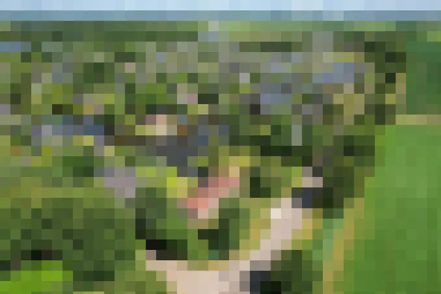 Houtvaartweg 41 Boornzwaag thumbnail 46
