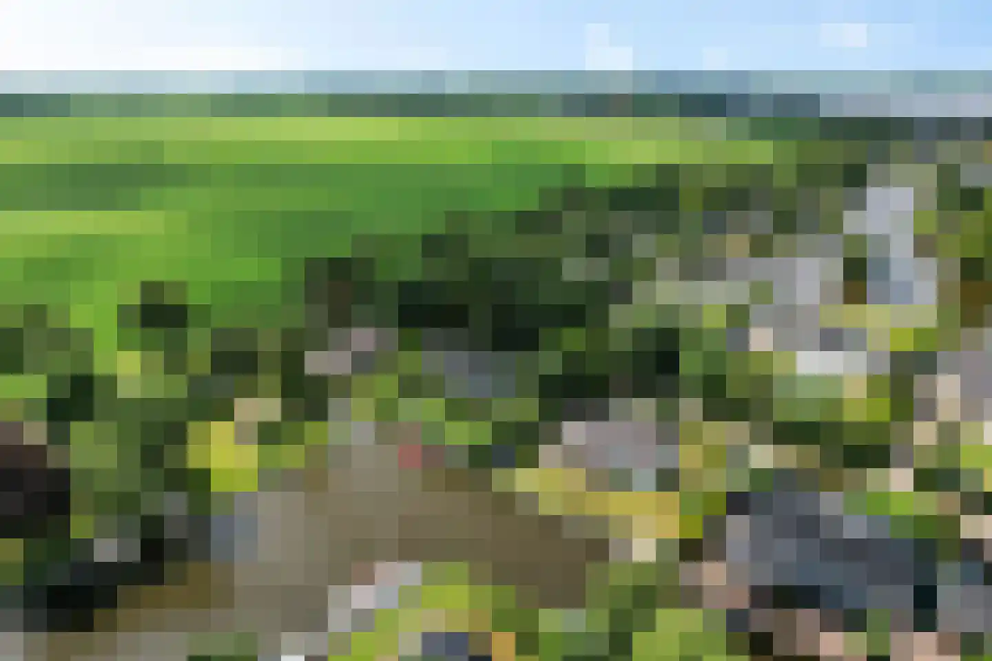 Houtvaartweg 41 Boornzwaag thumbnail 5