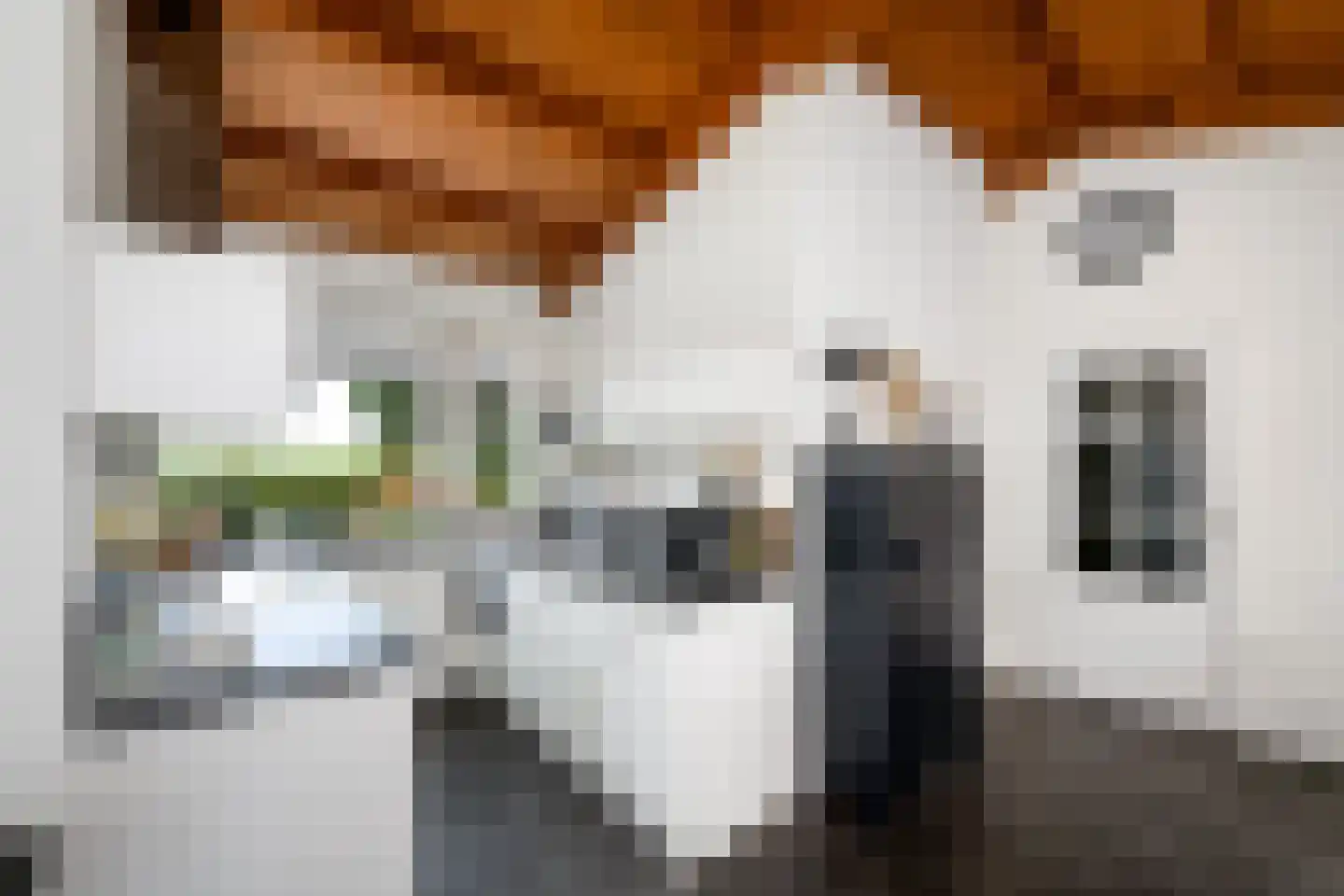 Houtvaartweg 49 Boornzwaag thumbnail 11