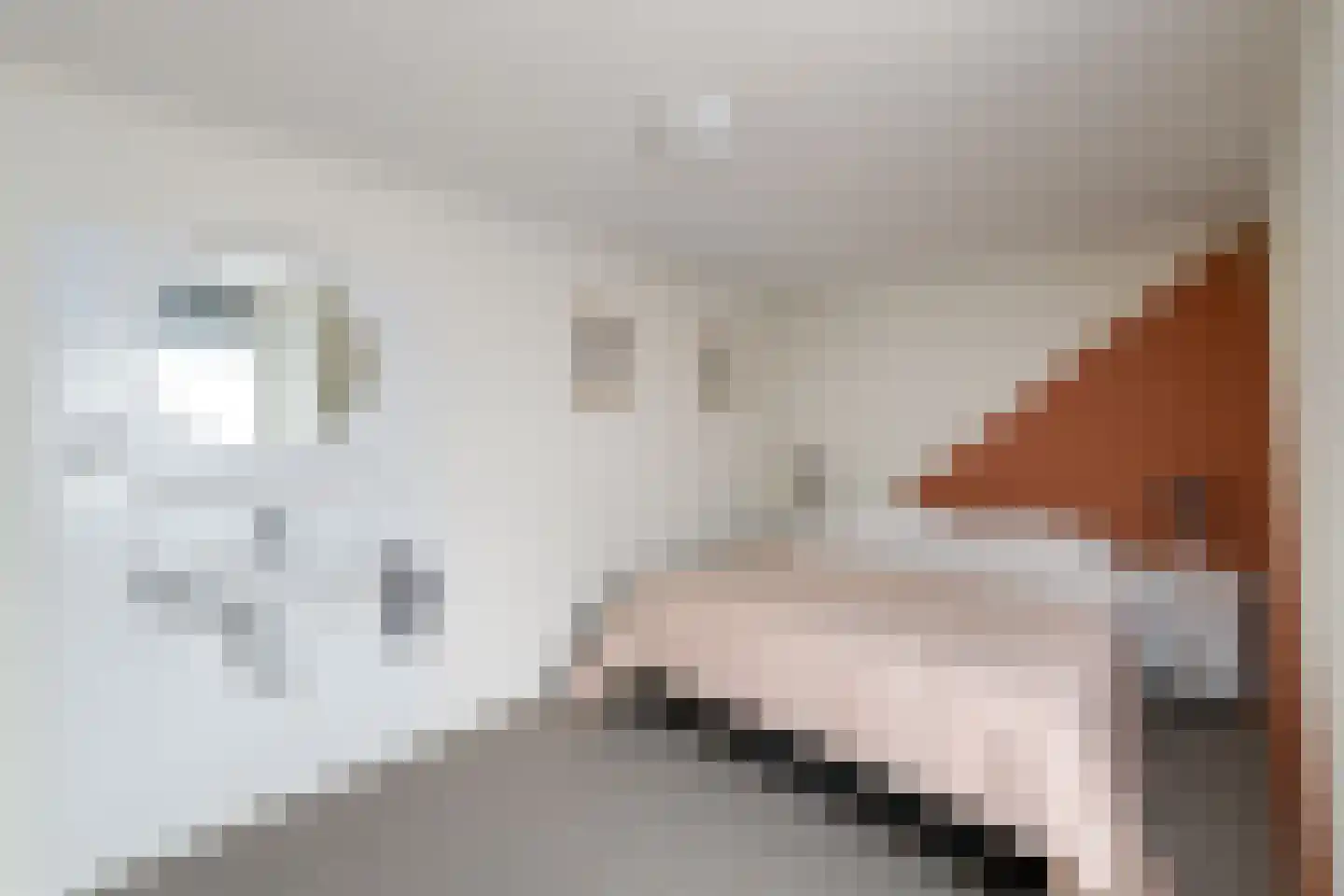 Houtvaartweg 49 Boornzwaag thumbnail 17