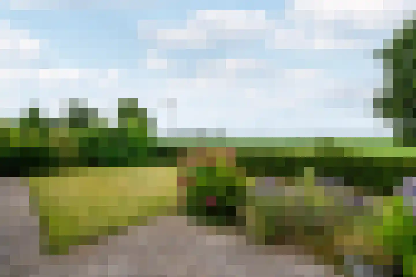 Houtvaartweg 49 Boornzwaag thumbnail 39