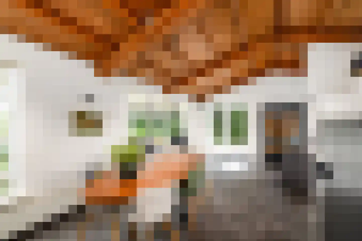 Houtvaartweg 49 Boornzwaag thumbnail 9