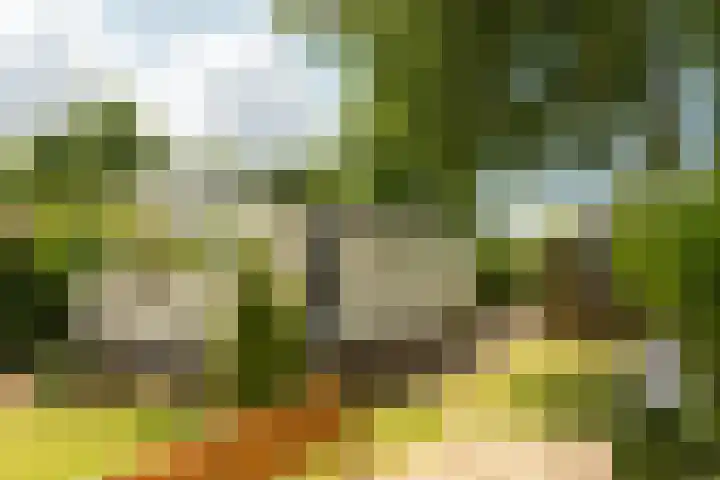 Houtvaartweg 77 10 Boornzwaag thumbnail 15