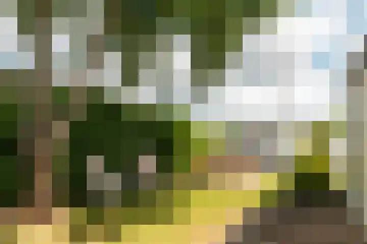 Houtvaartweg 77 10 Boornzwaag thumbnail 17