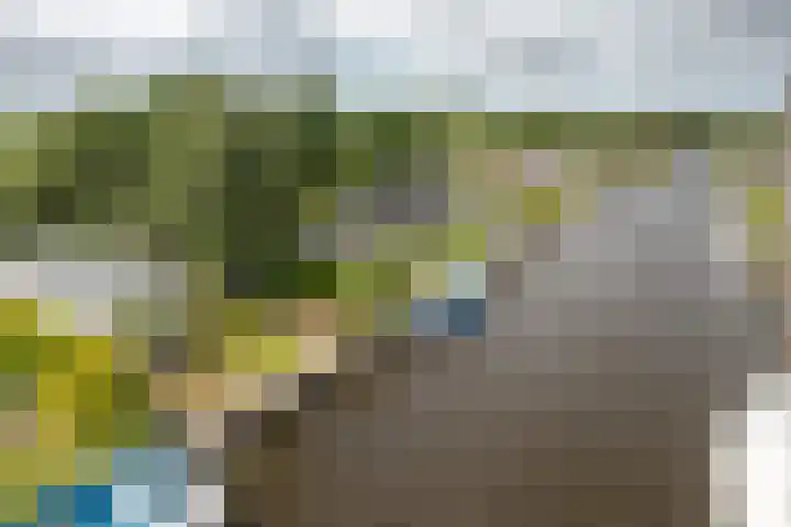 Houtvaartweg 77 10 Boornzwaag thumbnail 21