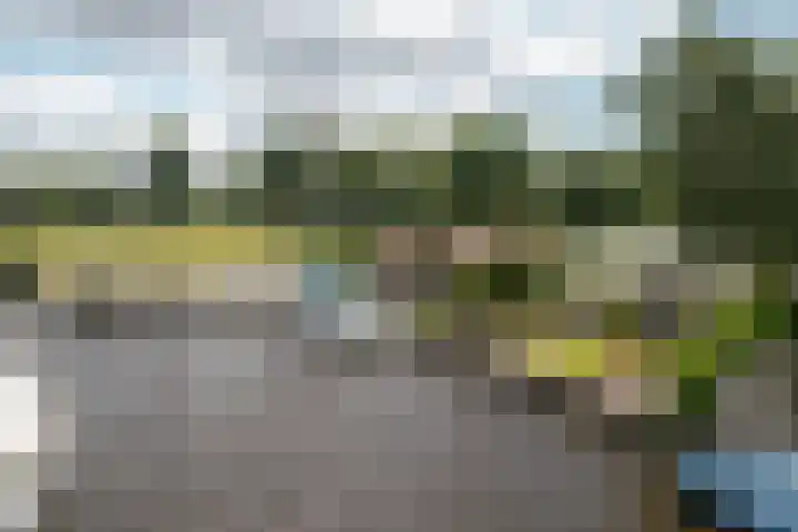 Houtvaartweg 77 10 Boornzwaag thumbnail 22