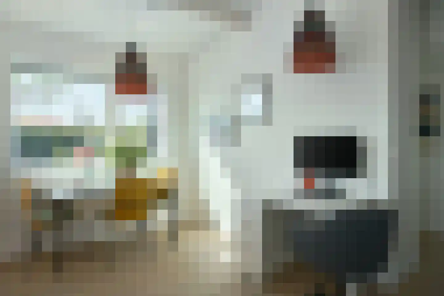 Houtvaartweg 77 228 Boornzwaag thumbnail 17
