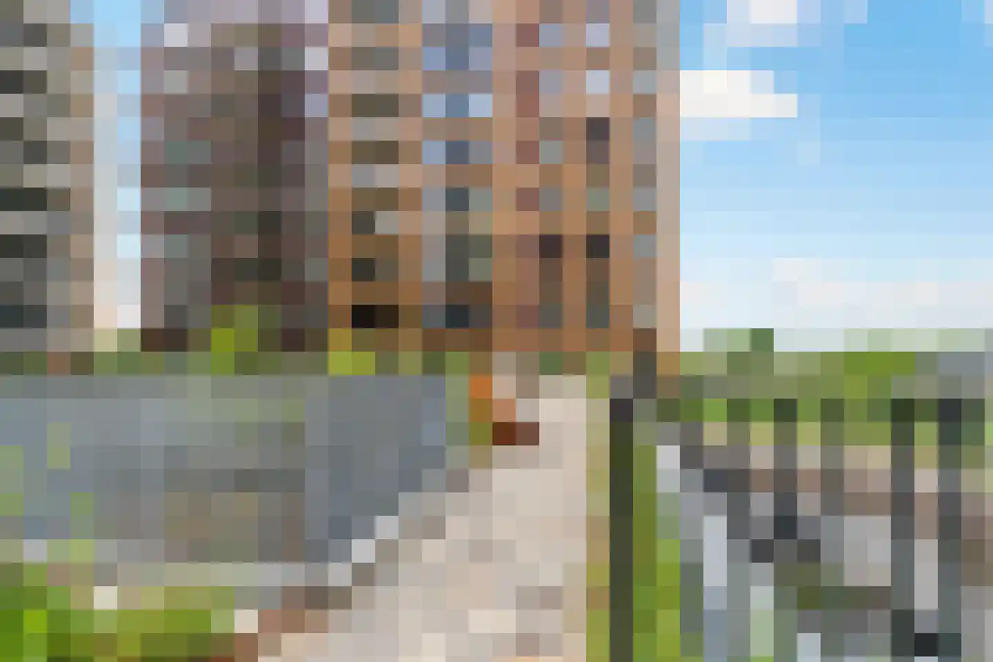 Houtveldweg 1150 Zaandam thumbnail 35