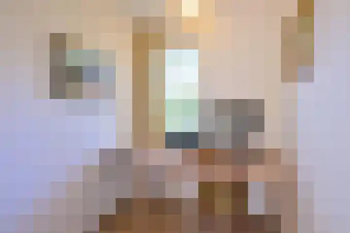 Houtvest 5 Gorssel thumbnail 20