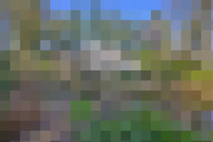 Houtvest 5 Gorssel thumbnail 38
