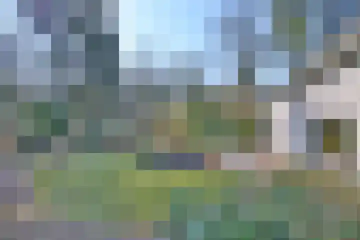 Houtvest 5 Gorssel thumbnail 39