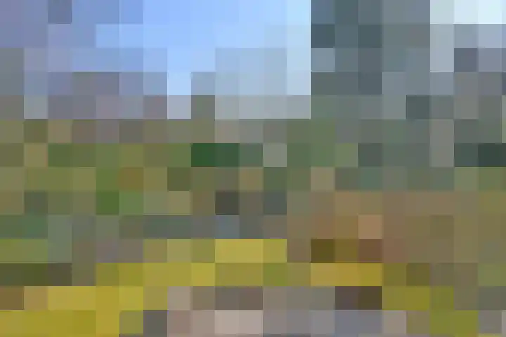 Houtvest 5 Gorssel thumbnail 4