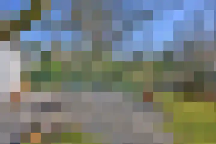 Houtvest 5 Gorssel thumbnail 41