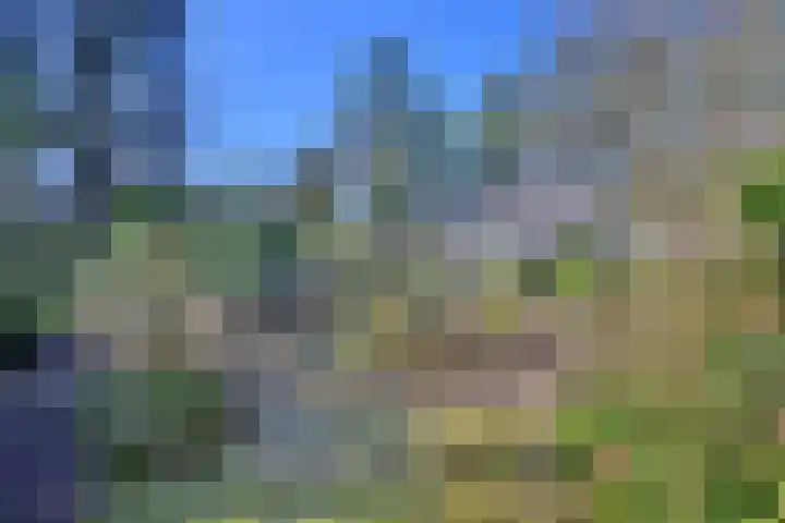 Houtvest 5 Gorssel thumbnail 42