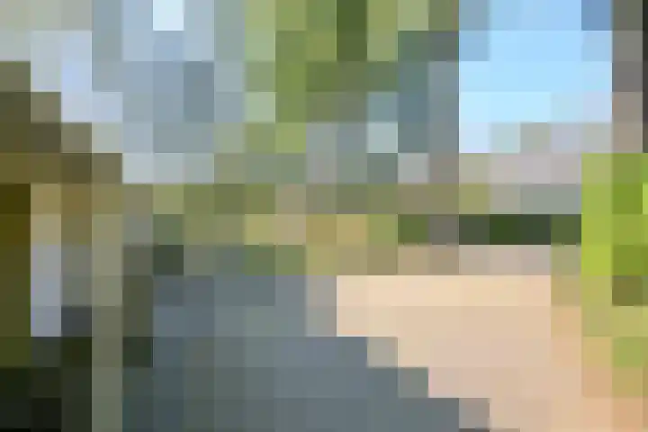 Houtvest 5 Gorssel thumbnail 43
