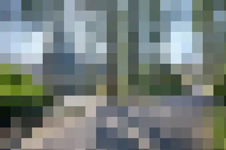 Houtvest 5 Gorssel thumbnail 44