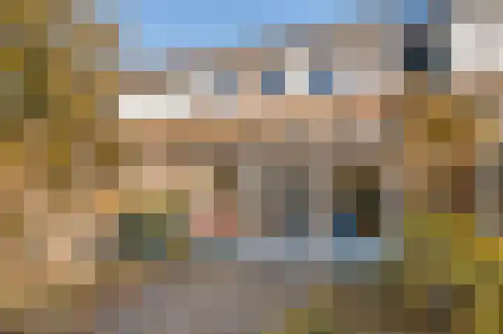 Houtvester 18 Leusden thumbnail 12