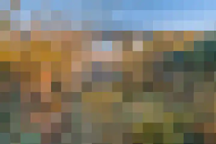 Houtvester 18 Leusden thumbnail 13