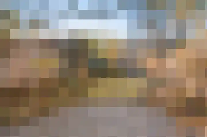 Houtvester 18 Leusden thumbnail 14