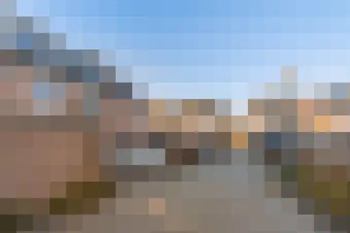 Houtvester 18 Leusden thumbnail 28