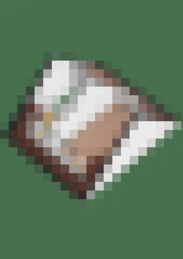 Houtvester 18 Leusden thumbnail 34