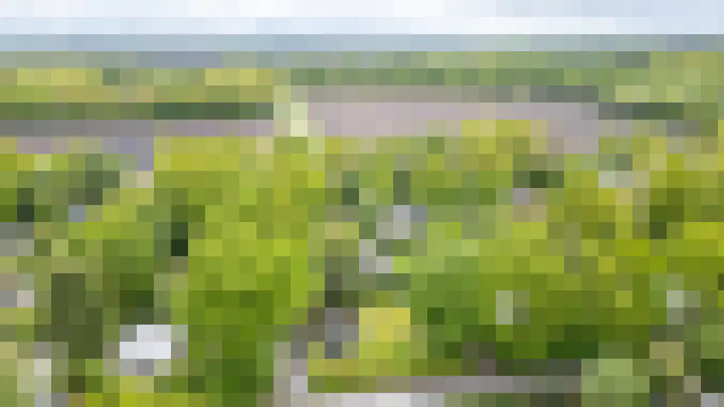 Houtvester Jansenweg 2 104 Gasselte thumbnail 10