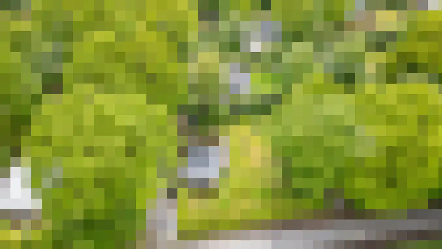 Houtvester Jansenweg 2 104 Gasselte thumbnail 11