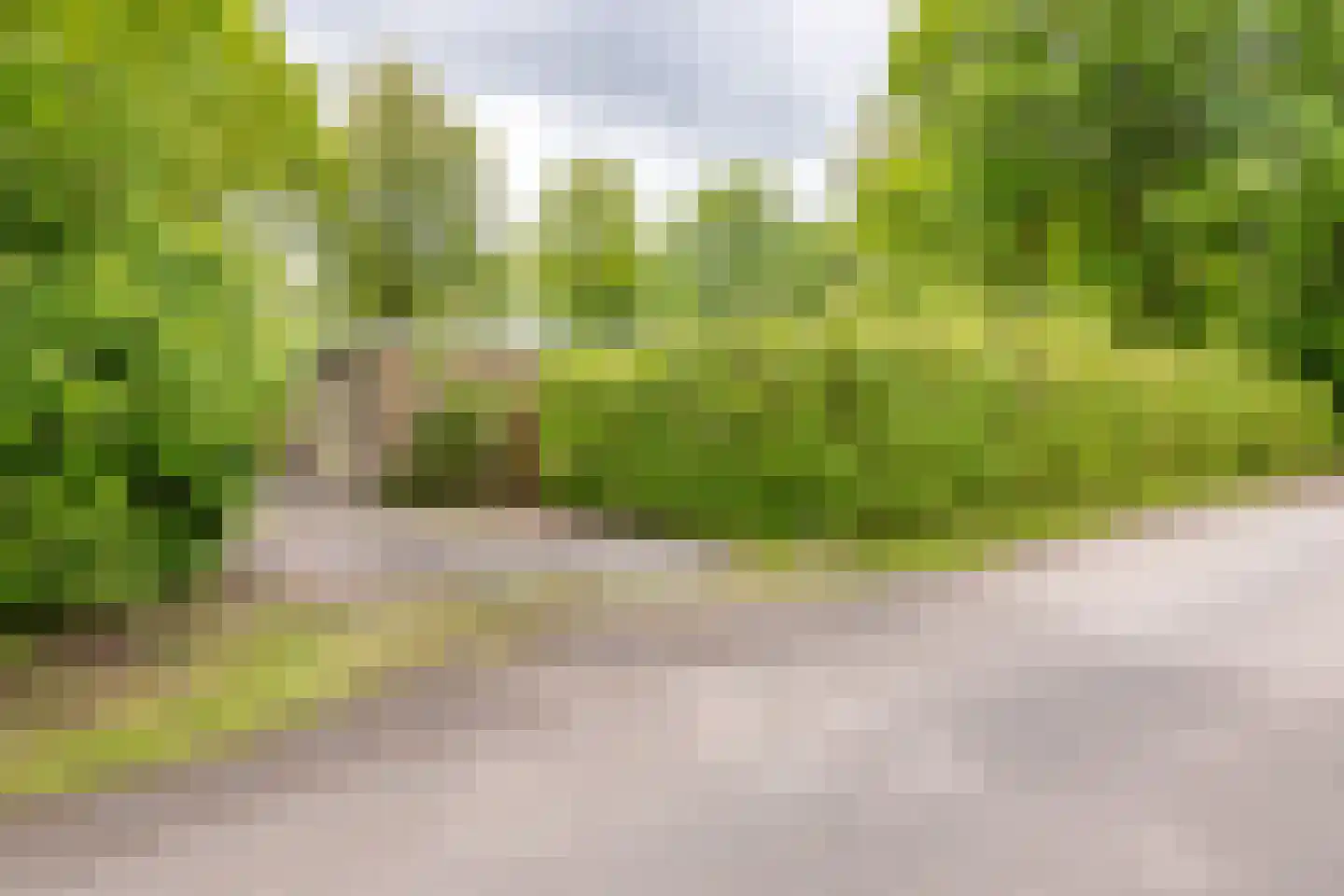 Houtvester Jansenweg 2 104 Gasselte thumbnail 12