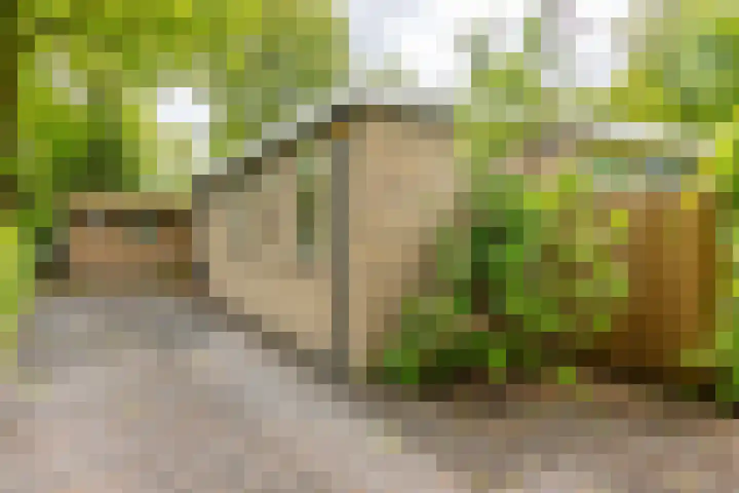 Houtvester Jansenweg 2 104 Gasselte thumbnail 13