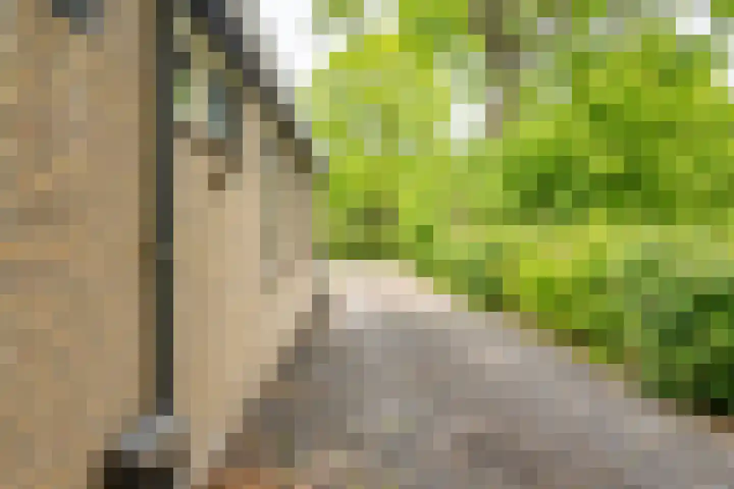 Houtvester Jansenweg 2 104 Gasselte thumbnail 15