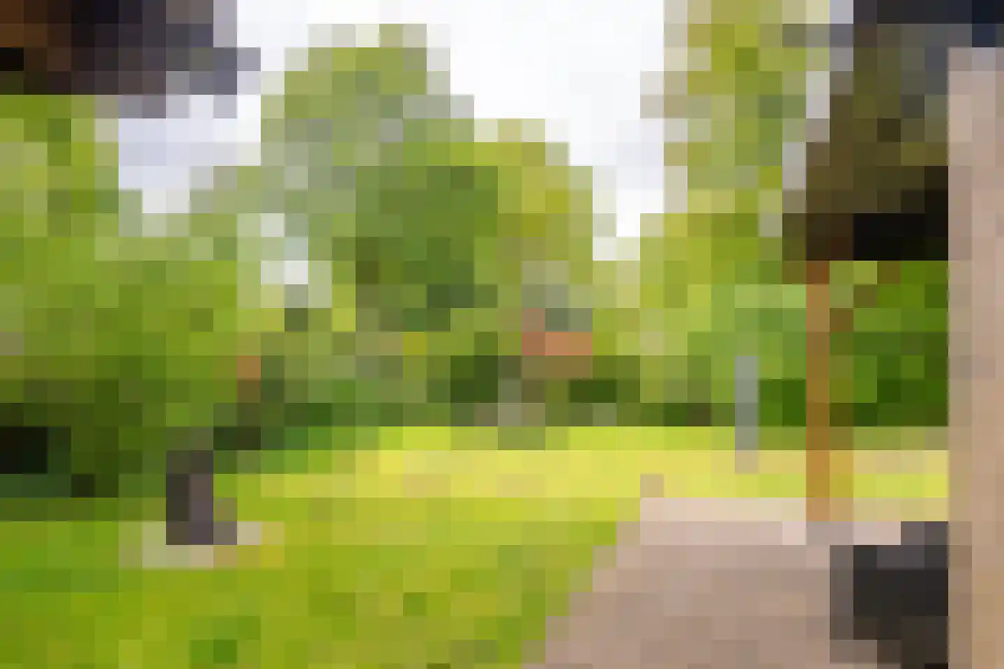 Houtvester Jansenweg 2 104 Gasselte thumbnail 16