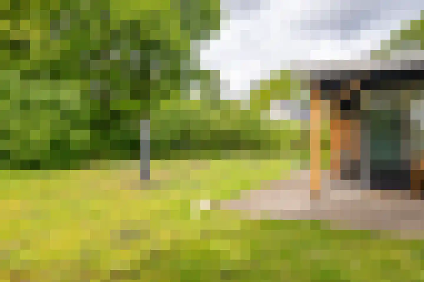 Houtvester Jansenweg 2 104 Gasselte thumbnail 17