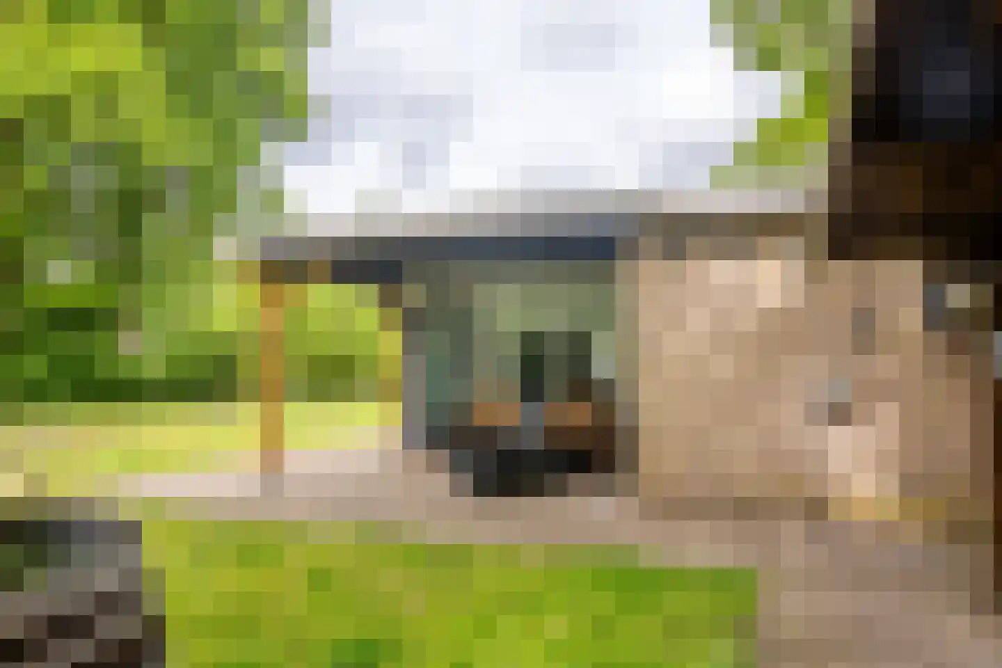 Houtvester Jansenweg 2 104 Gasselte thumbnail 18
