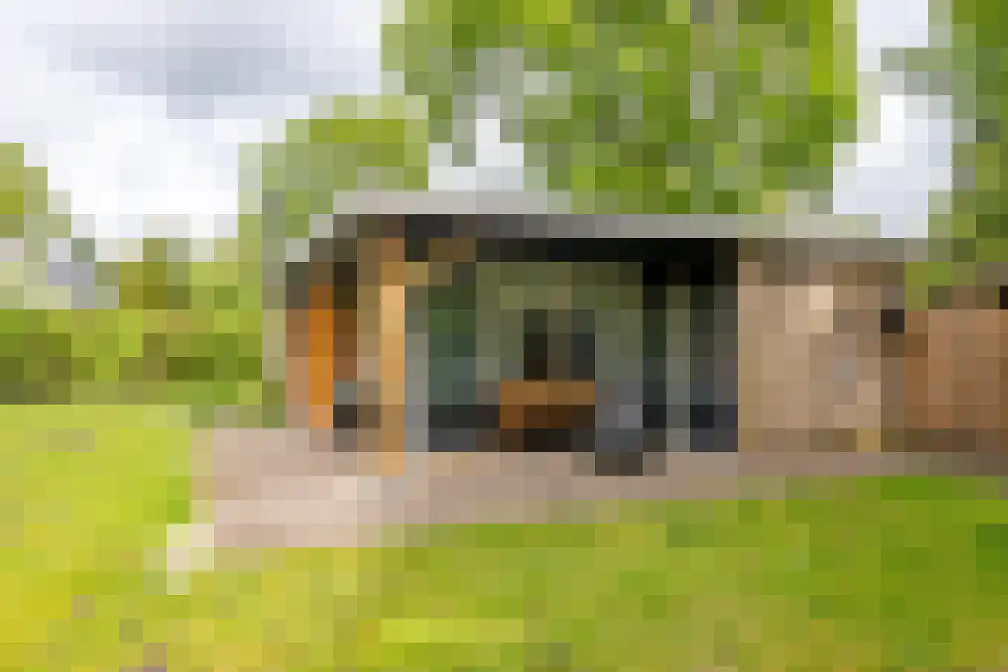 Houtvester Jansenweg 2 104 Gasselte thumbnail 19