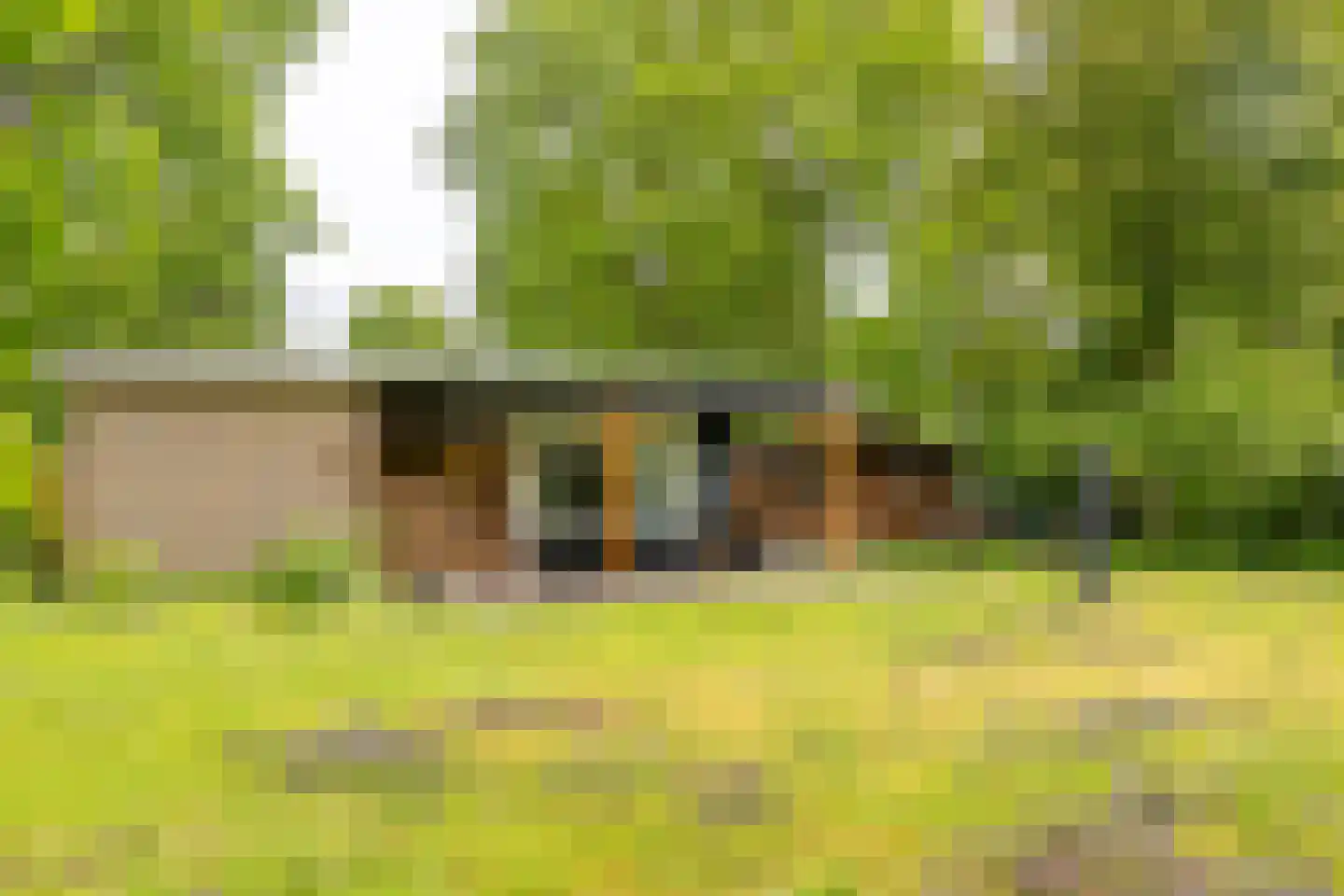 Houtvester Jansenweg 2 104 Gasselte thumbnail 20