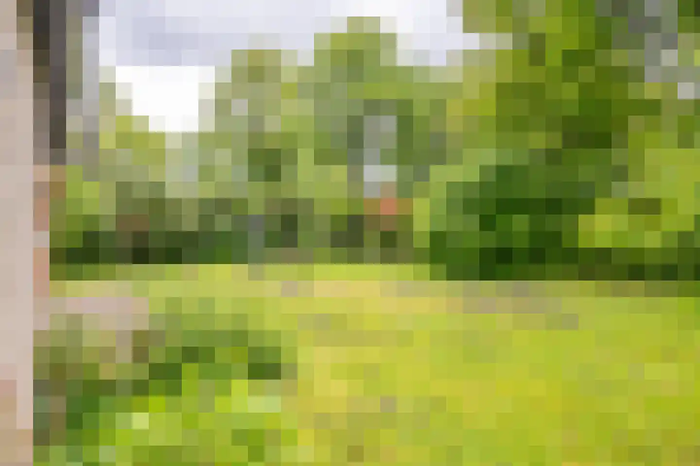 Houtvester Jansenweg 2 104 Gasselte thumbnail 21